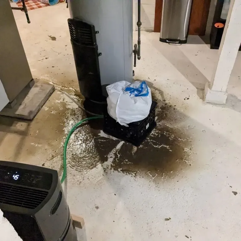 Sewage Backup Cleanup Service in Camden County, NJ